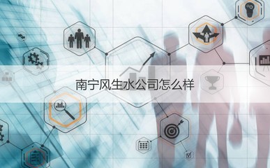 南宁风生水公司综合概况与企业信息解析